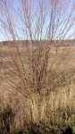 IMG_20180108_121411.jpg