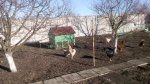 IMG_20180108_121719.jpg