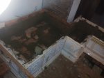 IMG_20171018_074026.jpg