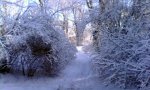 IMG_20180121_131032.jpg