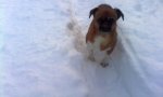 IMG_20180123_073942.jpg