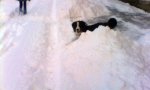 IMG_20180123_075042.jpg