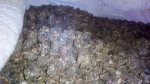 IMG_20180208_165454.jpg