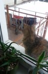 20180212_084236.jpg