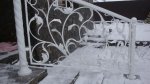 DSC08093.JPG
