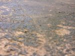 Фото3901.jpg