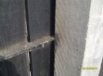 SDC10181.JPG