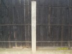 SDC10183.JPG
