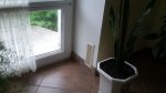 20170608_101151.jpg
