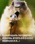 бабак тимка.jpg