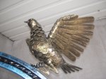 DSCN2555.JPG