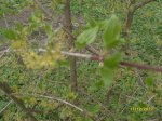 SDC10262.JPG