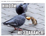 upload_2018-5-16_15-53-24.png