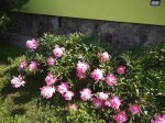 IMG_20180520_101806.jpg