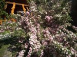 IMG_20180520_101710.jpg