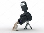 depositphotos_44706097-stock-photo-photo-camera-and-dog.jpg