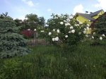 IMG_20180524_162948.jpg