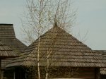 PICT2051.JPG