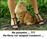 upload_2018-7-2_20-37-11.png
