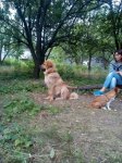 IMG_20180704_074759.jpg