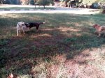 IMG_20180718_080516.jpg