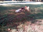 IMG_20180718_080506.jpg