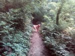 IMG_20180719_073823.jpg