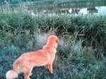 IMG_20180723_203231.jpg