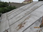IMG_0779.jpg