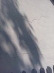 IMG_20180603_153553.jpg