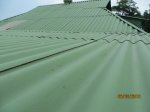 IMG_1981.JPG