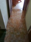 Фото0281.jpg