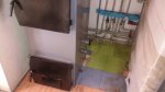 20180816_065445.jpg