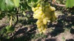 20180825_155853.jpg