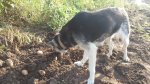 20180825_174750.jpg