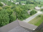 SAM_0690.JPG