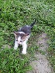 IMG_20180707_104450.jpg