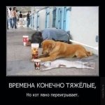 IMG-39ad2e092bfaac246cbcc458c675c598-V.jpeg