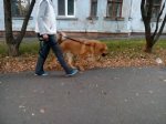 IMG_20180919_072249.jpg