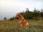 IMG_20180915_114803.jpg