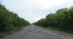 SAM_0797.JPG