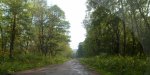 SAM_0802.JPG