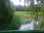 Фото4163.jpg
