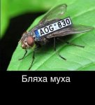 43180742_2025366107756718_7558840921370918912_n.jpg