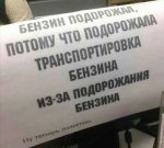 43239839_339603343469041_213471127425515520_n.jpg