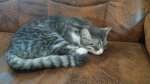 20181015_083215.jpg