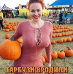upload_2018-10-26_11-3-7.png