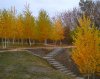 Осень5.jpg