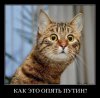hsv2dqb2ibs4.jpg