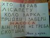 x_9bbc9192.jpg